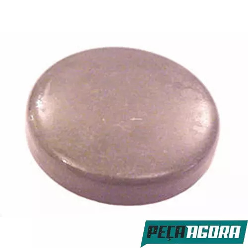 CORREIA (0039972992)