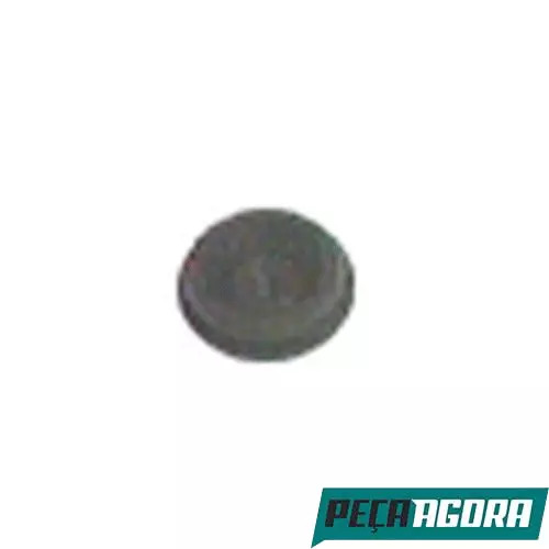CAIXA 10  TAPA FURO MENOR DIREITO E ESQUERDO 17X20X6.5MM PARA SCANIA L 110 111 (