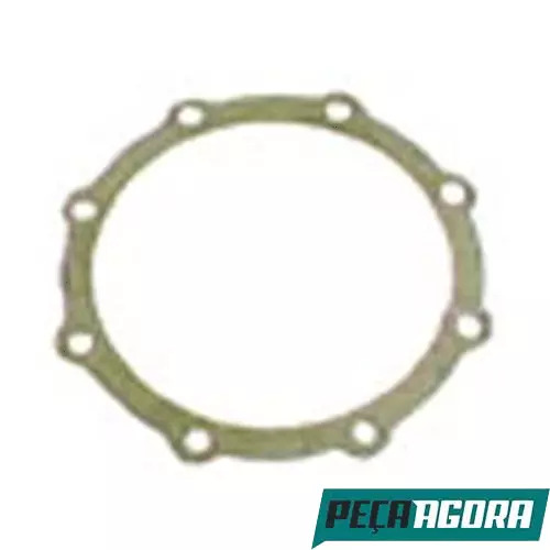 CAIXA 5  JUNTA DO PINHAO DIFERENCIAL PARA SCANIA (CX.284478**5)