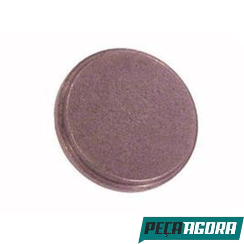 CAIXA 10  TAMPA SEM FURO PARA MANGA D'EIXO 47,5MM MERCEDES BENZ (CX.3833320133**