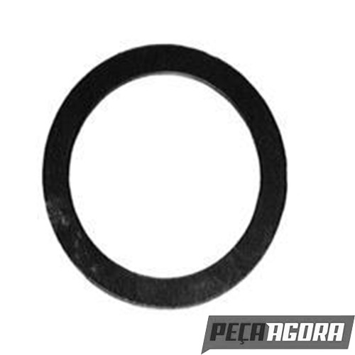 ANEL DIST.ROLAMENTO PINHAO PARA SCANIA P93 SERIE 4 (1305102)