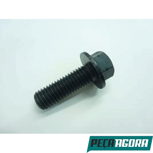 CAIXA 10  PARAFUSO DA CARCACA EMBREAGEM 12X1.75X35 10.9 (CX.900170012005X**10)