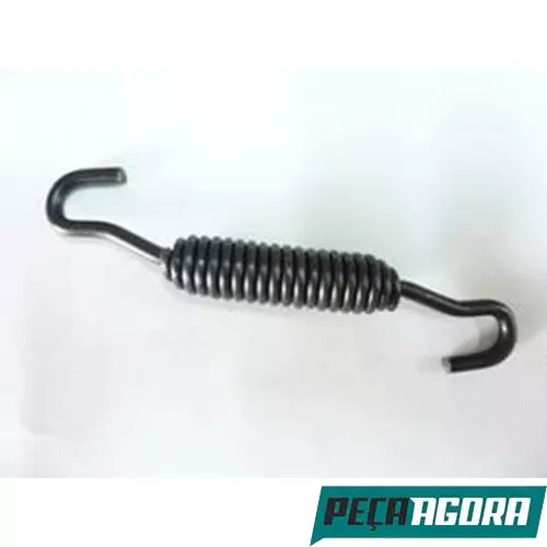 CAIXA 20  MOLA DA SAPATA DE FREIO MASTER FORD (CX.TE3607041**20)