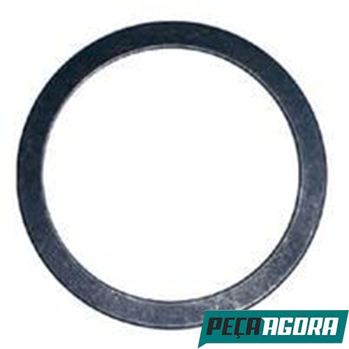 ANEL ROLAMENTO PINHAO PARA SCANIA P93 SERIE 4 (1305101)