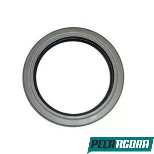 CAIXA 2 RETENTOR CUBO RODA 3 EIXO 0310 B RANDON RODOVIARIA GUERRA 165X127X16MM  