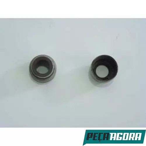 CAIXA 6 RETENTOR VALVULA MWM SERIE 10 VOLKSWAGEN (CX.2RH103417**6)