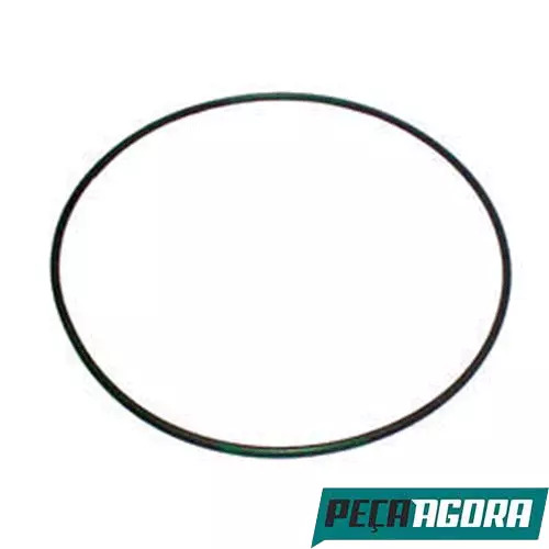 CAIXA 6  ANEL DO CUBO DA RODA TRASEIRA 255X5 SILICONE VERDE (CI.0169974048A**6)