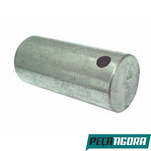 CAIXA 10 PINO SAPATA FREIO 25X56 VOLVO N10 B58 (CX.1584671H*10)