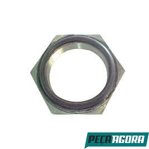 PORCA CARCACA RODA TRASEIRA COM RETENTOR VW 11130 13130 (1925816)