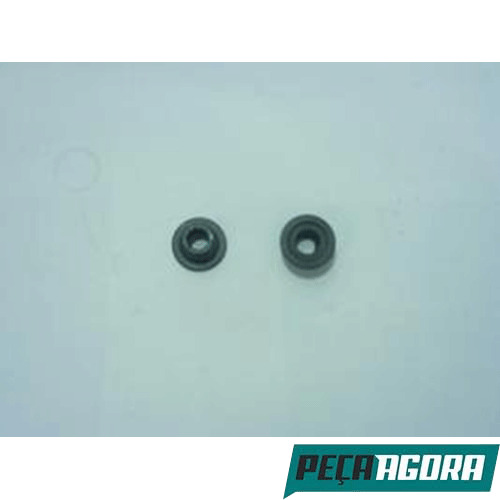 CAIXA 6 PRATO MOLA DA VALVULA PARA SCANIA L101 L110 LK140 LK141 BR 115 (CX.13057