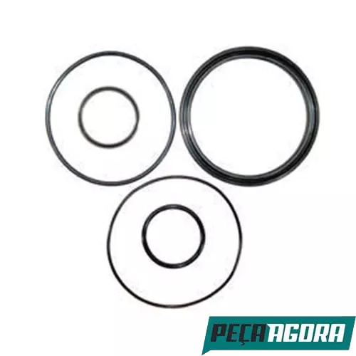 REPARO PISTAO HIDRAULICO CACAMBA 6' CORAL RSO600 152401 (0009986643)