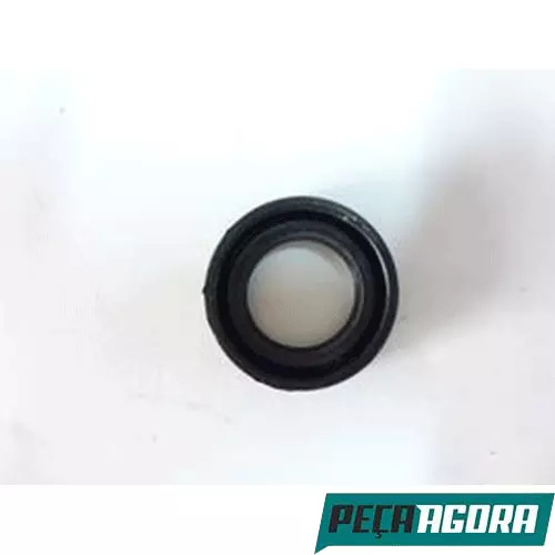 CAIXA 10  RETENTOR DA BOMBA DE DIRECAO HIDRAULICA MERCEDES  2960 (CX.70198064**1