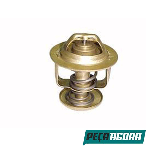 VALVULA TERMOSTATICA VOLKSWAGEN VW CUMMINS SERIE C (2RK121113)