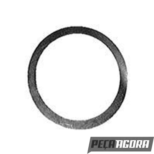 ANEL ROLAMENTO PINHAO PARA SCANIA P93 SERIE 4 (1305103)