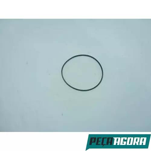 CAIXA 6  ANEL VEDACAO CAMISA CUMMINS VOLKSWAGEN (CX.TE3107P25**6)