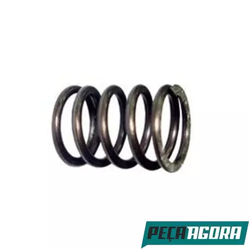 CAIXA 5  MOLA DE PRESSAO MEIA LUA EIXO PILOTO MB (CX.3219931201**5)