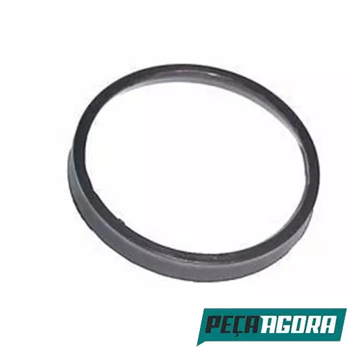 CAIXA 10 PROTETOR PO TRANSMISSAO PARA SCANIA P 93 SERIE 4 (CX.1300977**10)
