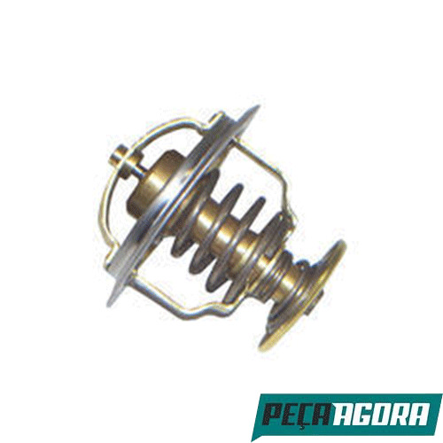 VALVULA TERMOSTATICA 80 MWM VOLKSWAGEN VW (TAE121113)