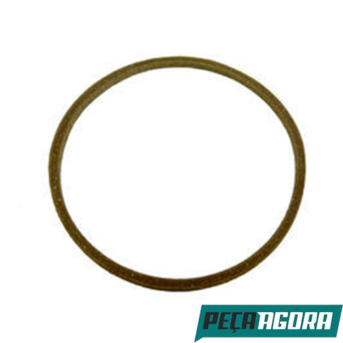 CAIXA 10  JUNTA FLANGE CUBO TRASEIRO CORTICA PARA SCANIA L110/111/112 (CX.UNPRCA