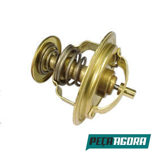 VALVULA TERMOSTATICA 82 FORD F2000 F4000 CARGO (E3HN8575AA)