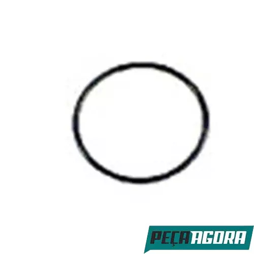 CAIXA 10  TRAVA CESTA DE SUCCAO (CX.007993070100**10)
