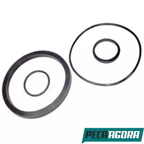 REPARO PISTAO HIDRAULICO 7` FACHINI (0009985543)