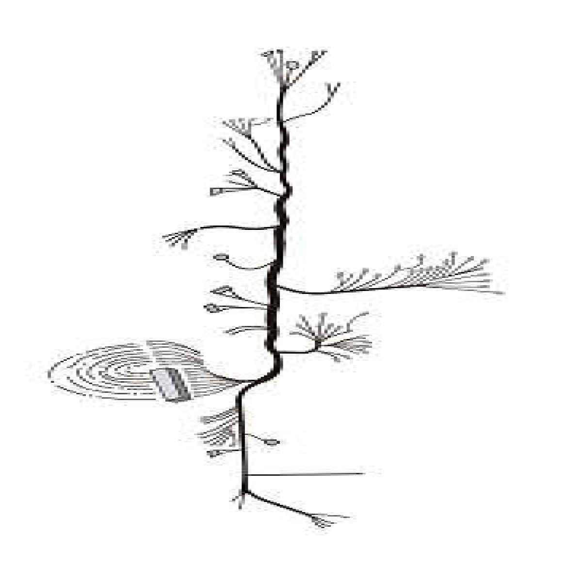 CHICOTE ELETRICO MB MERCEDES BENZ AGL 1518 1113 (3455407006)