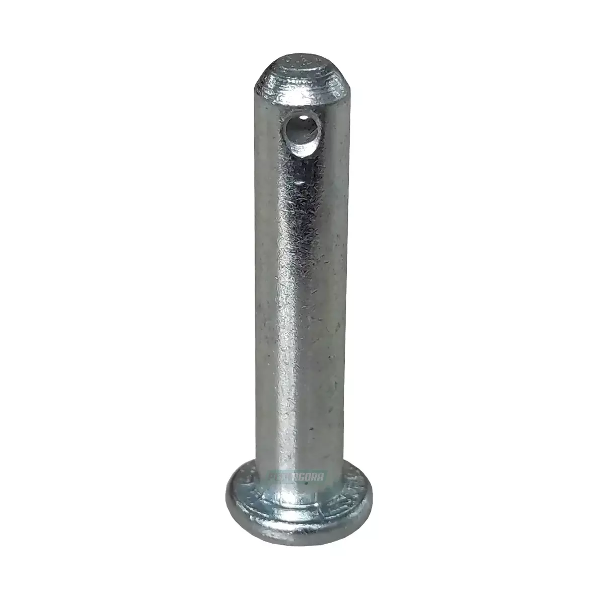 PINO GRANDE SCANIA SERIE 3 R GRANDE  (808203-2119)