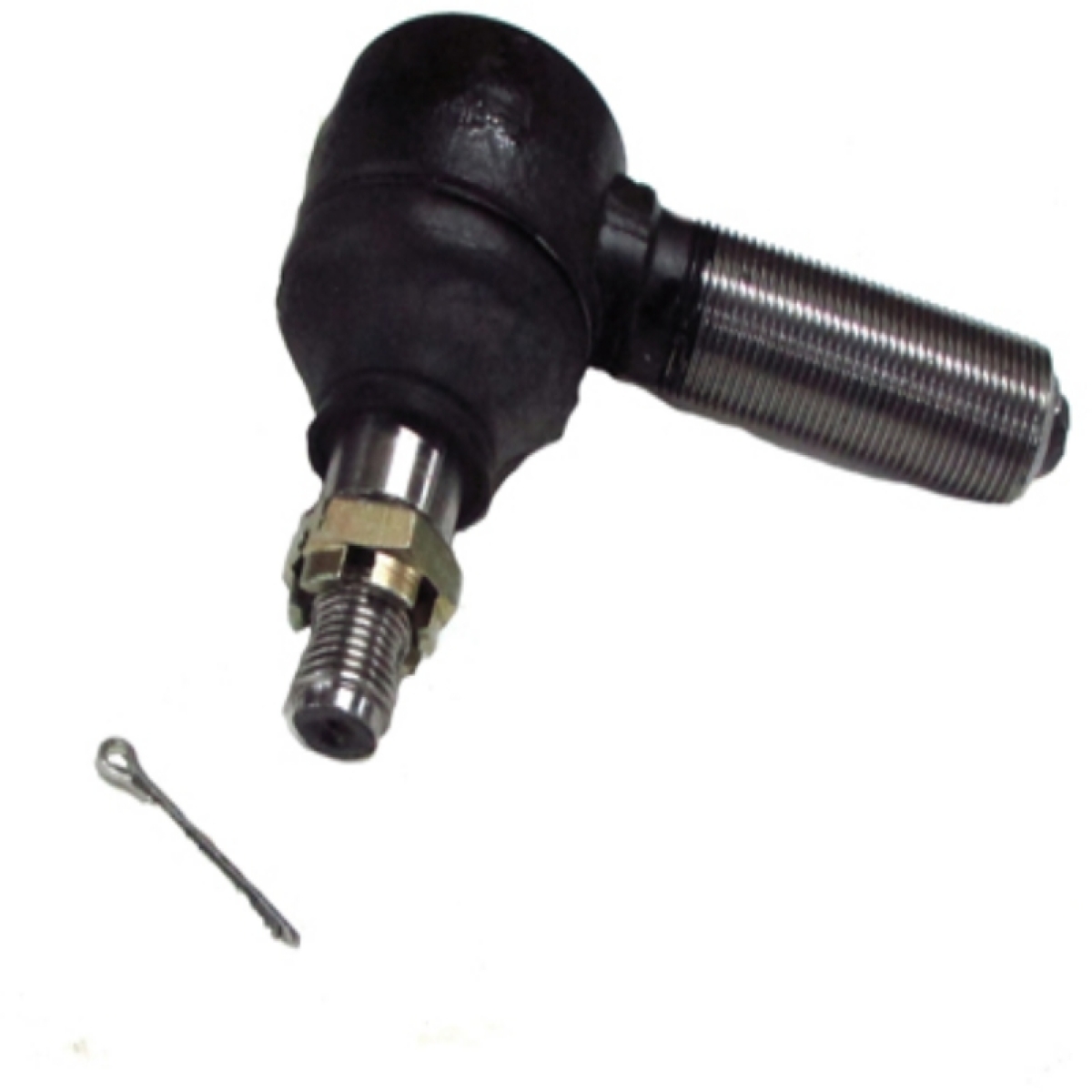 TERMINAL LONTRA LD (3617118)