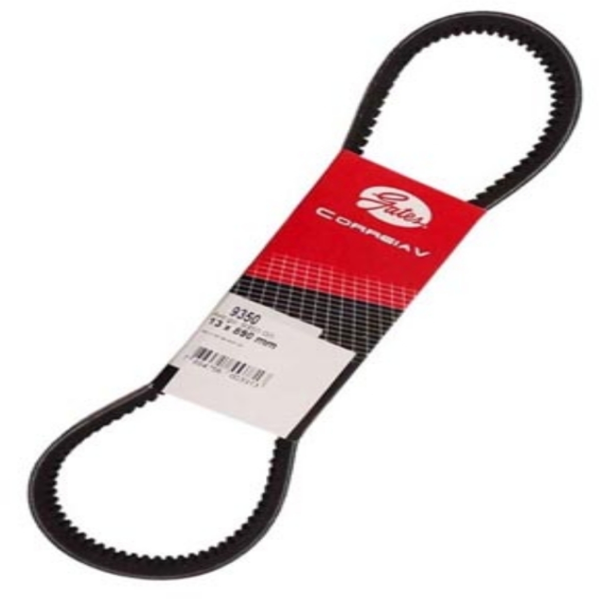 CORREIA V (K65B32611)