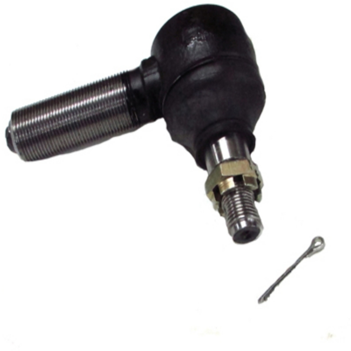 TERMINAL LONTRA LE (3617119)