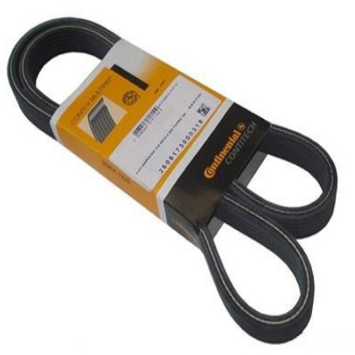 CORREIA 20513561 (20513561)