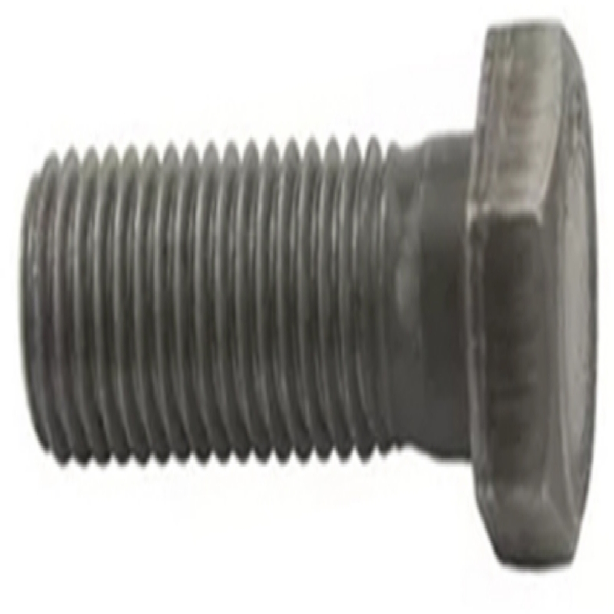 PARAFUSO LENTICULAR 5-8 11X2,0 (NF058721AB)