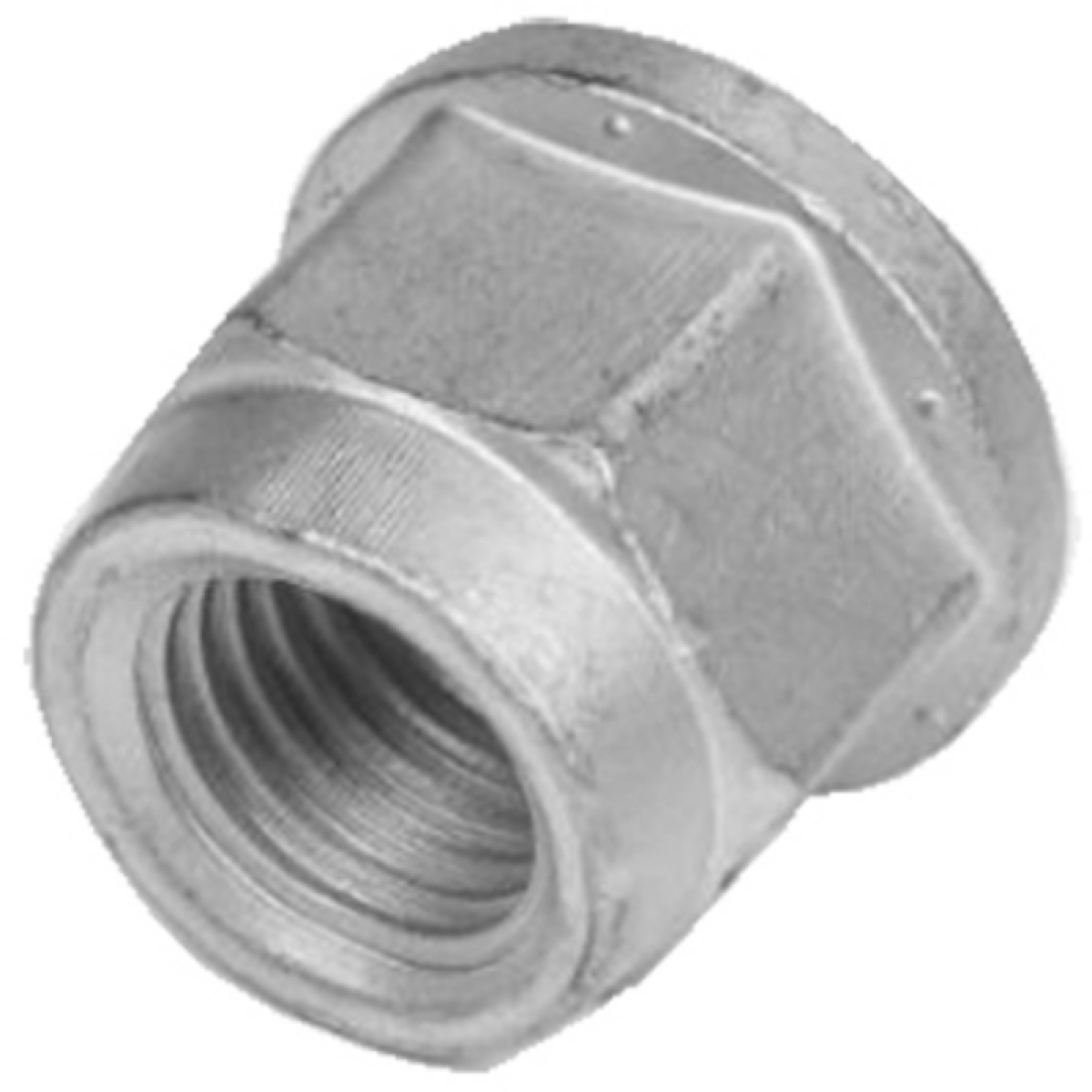 PORCA PINO EXCENTRICO CARRETAS FACCHINI (0308651901-78272I)