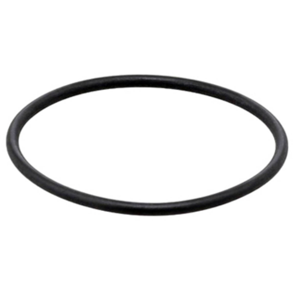 ANEL UNIDADE INJETORA (VITON) (0239976448)