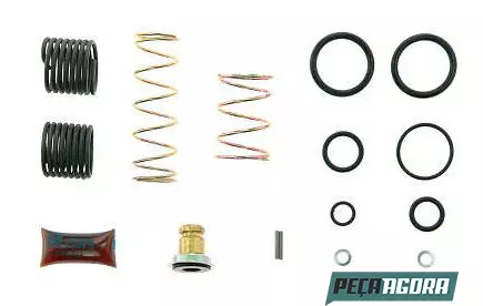 REPARO PARA VALVULA DE FREIO DE MAO FORD CARGO (2UH698917)