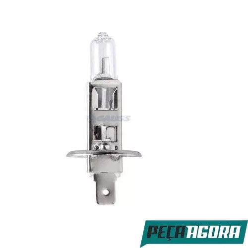 LAMPADA H1 12V VOLTS 55W P14 5S BRANCA HALOGENA (GL01H1)