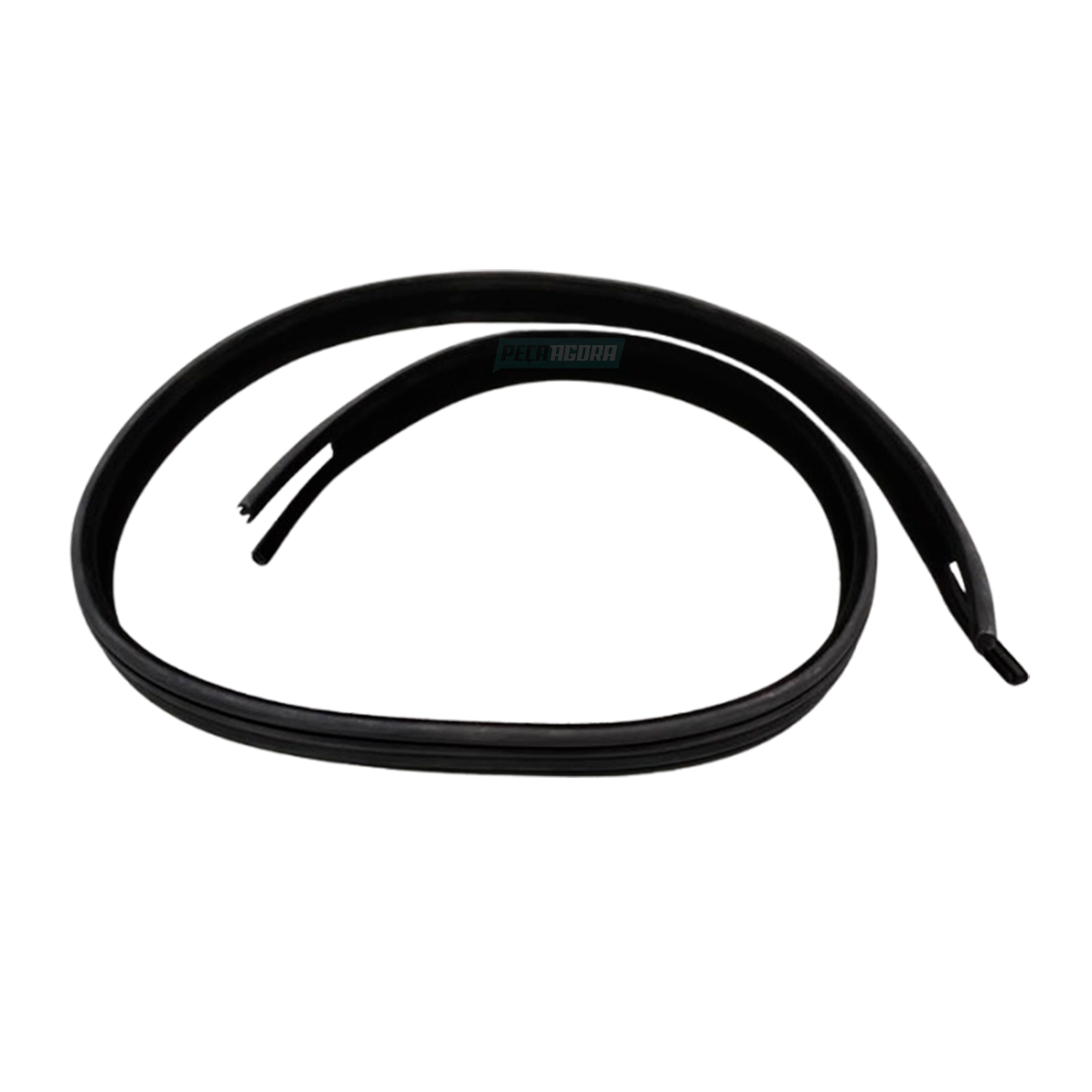 CANALETA VIDRO DA PORTA AGRALE CAMINHAO (6005013031003..)