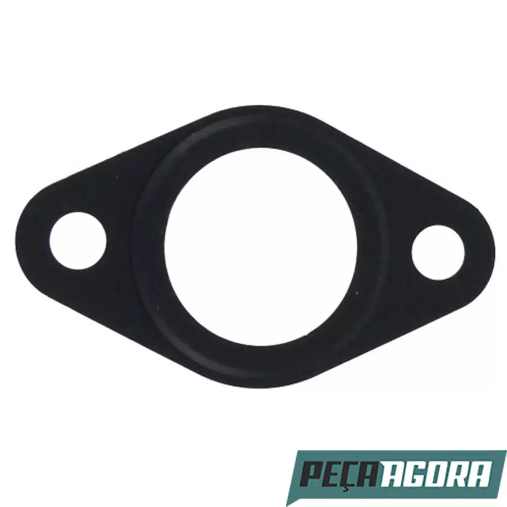 JUNTA DE VEDACAO EGR DO ACELERADOR PARA IVECO (504341194)