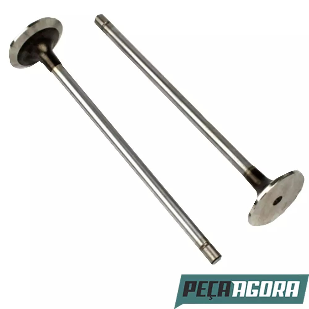 VALVULA DE ADMISSAO PARA IVECO CAVALLINO CURSOR (504042365)