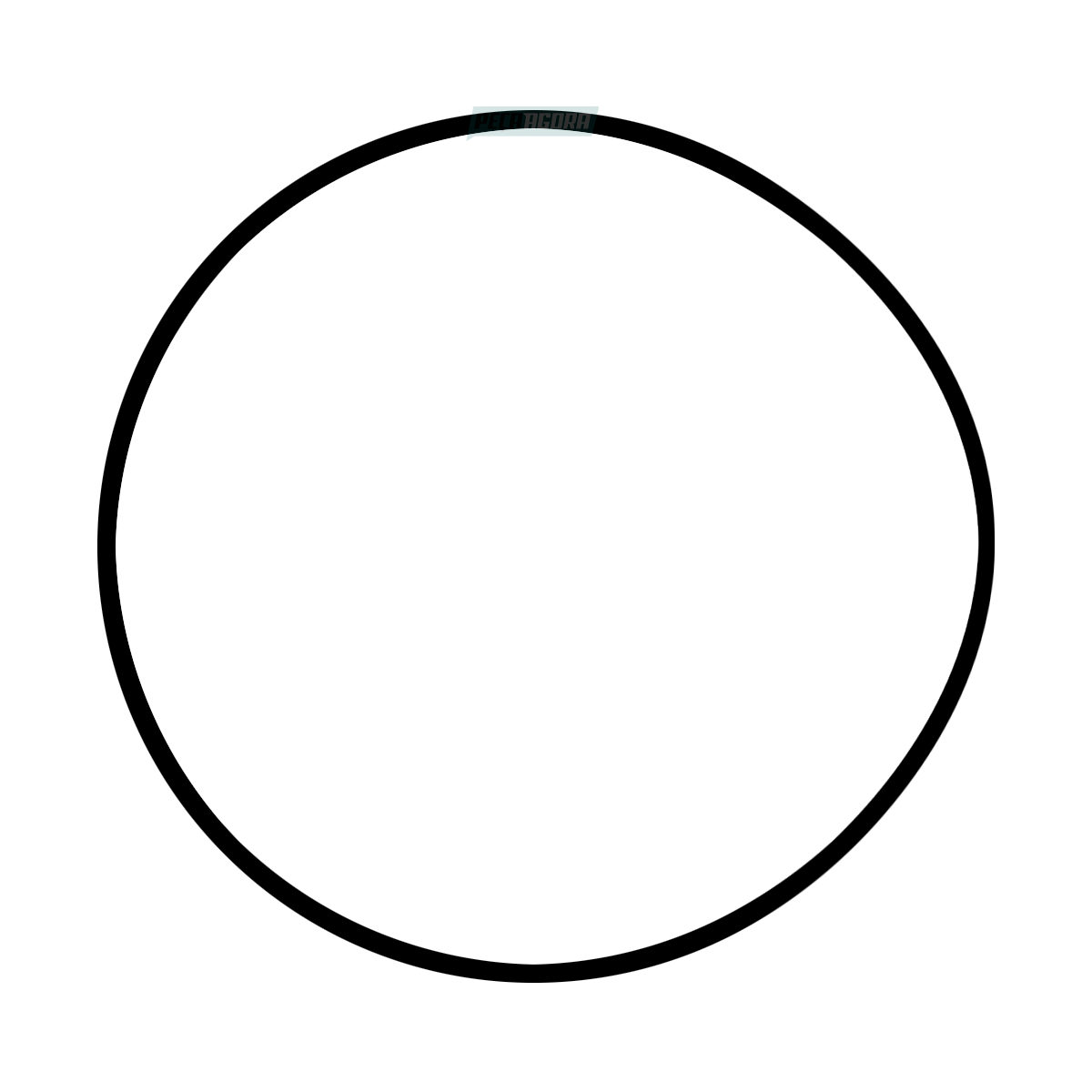 ANEL VEDACAO O-RING CUBO RODA CARRETA FACCHINI MODERNO (0308900310;)