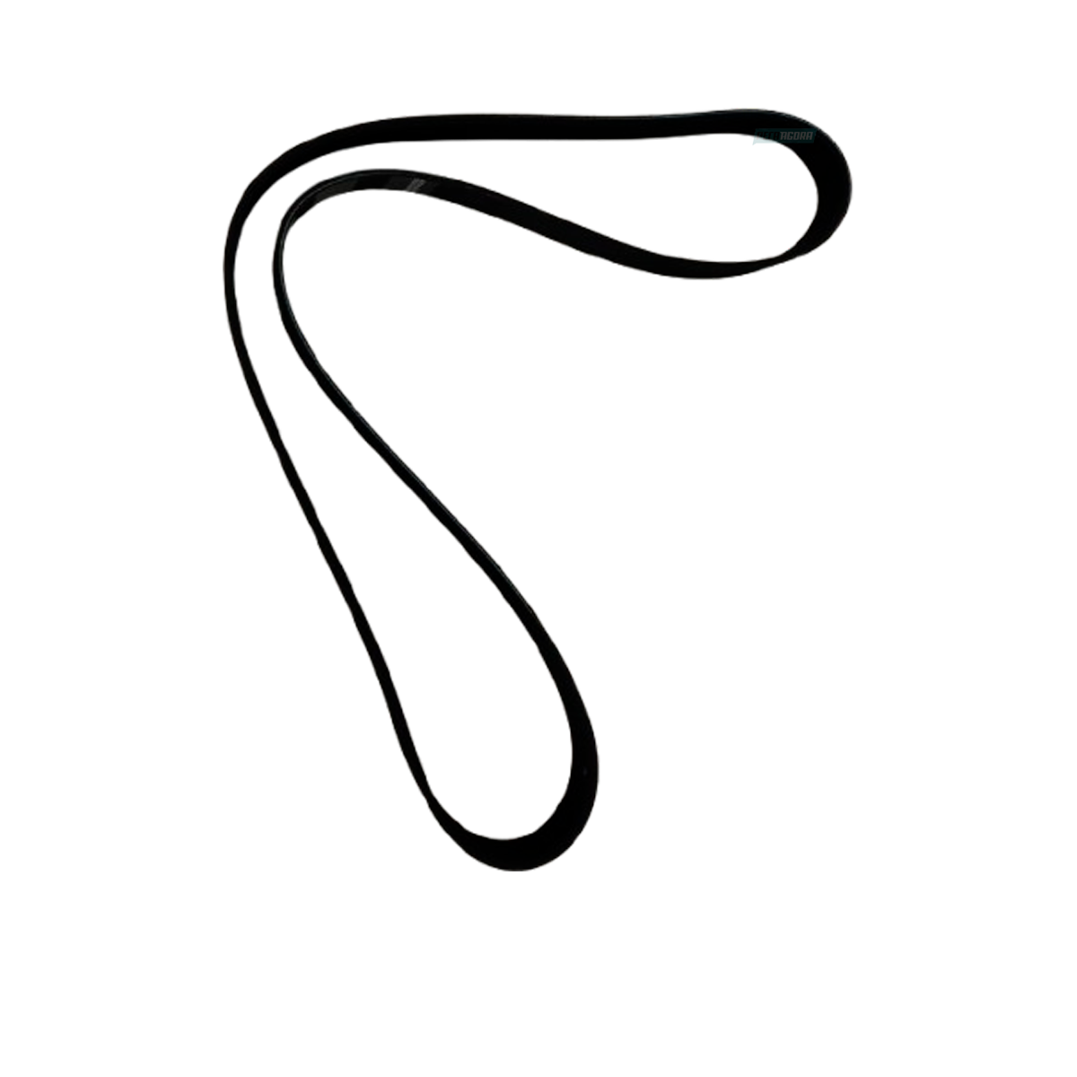 CORREIA 2S0145933C (2S0145933C.)