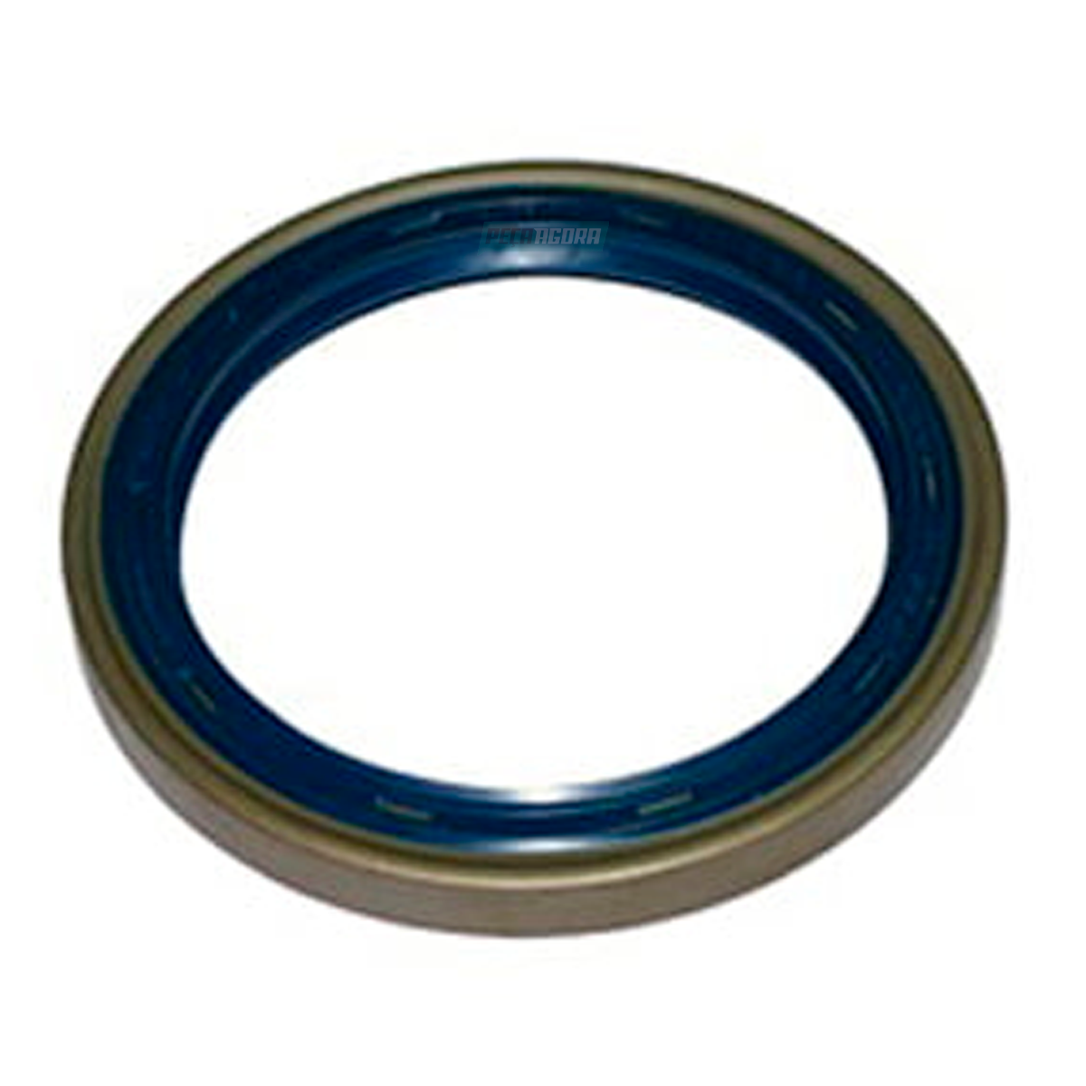 RETENTOR CUBO RODA TRASEIRO FIAT FORD GM IVECO MB SCANIA VW VOLVO CARRETA (21040