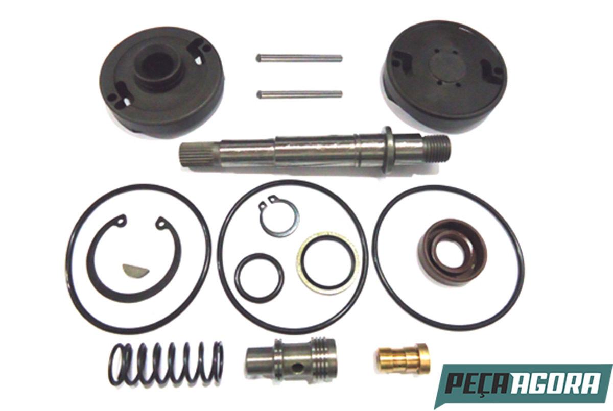 REPARO BOMBA HIDRAULICA MB MERCEDES BENZ (L46306)