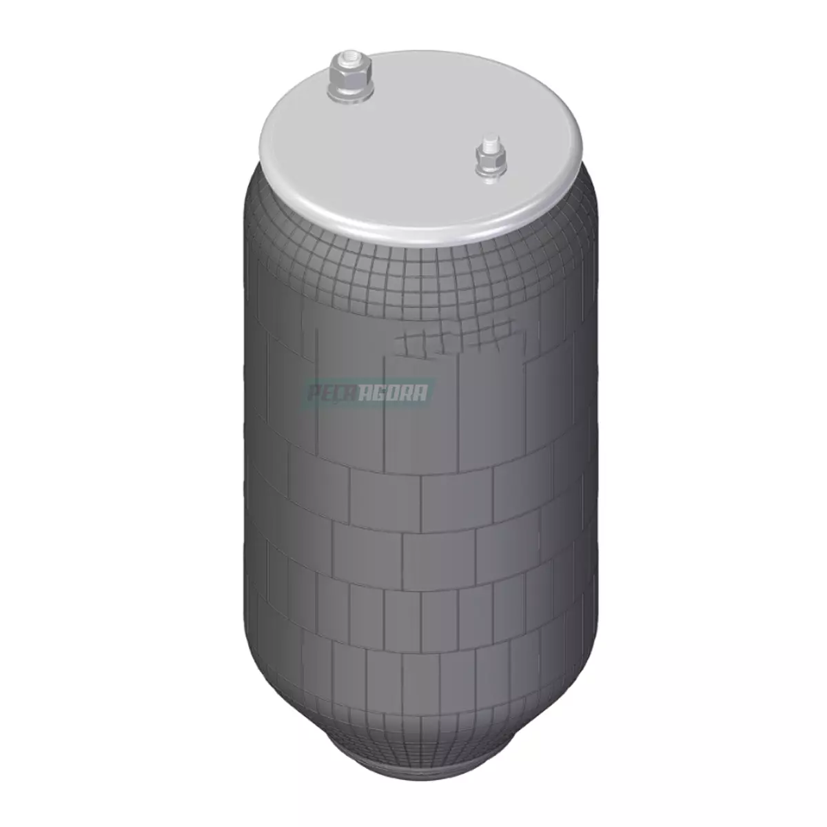 MOLA PNEUMATICA (0308501708.)