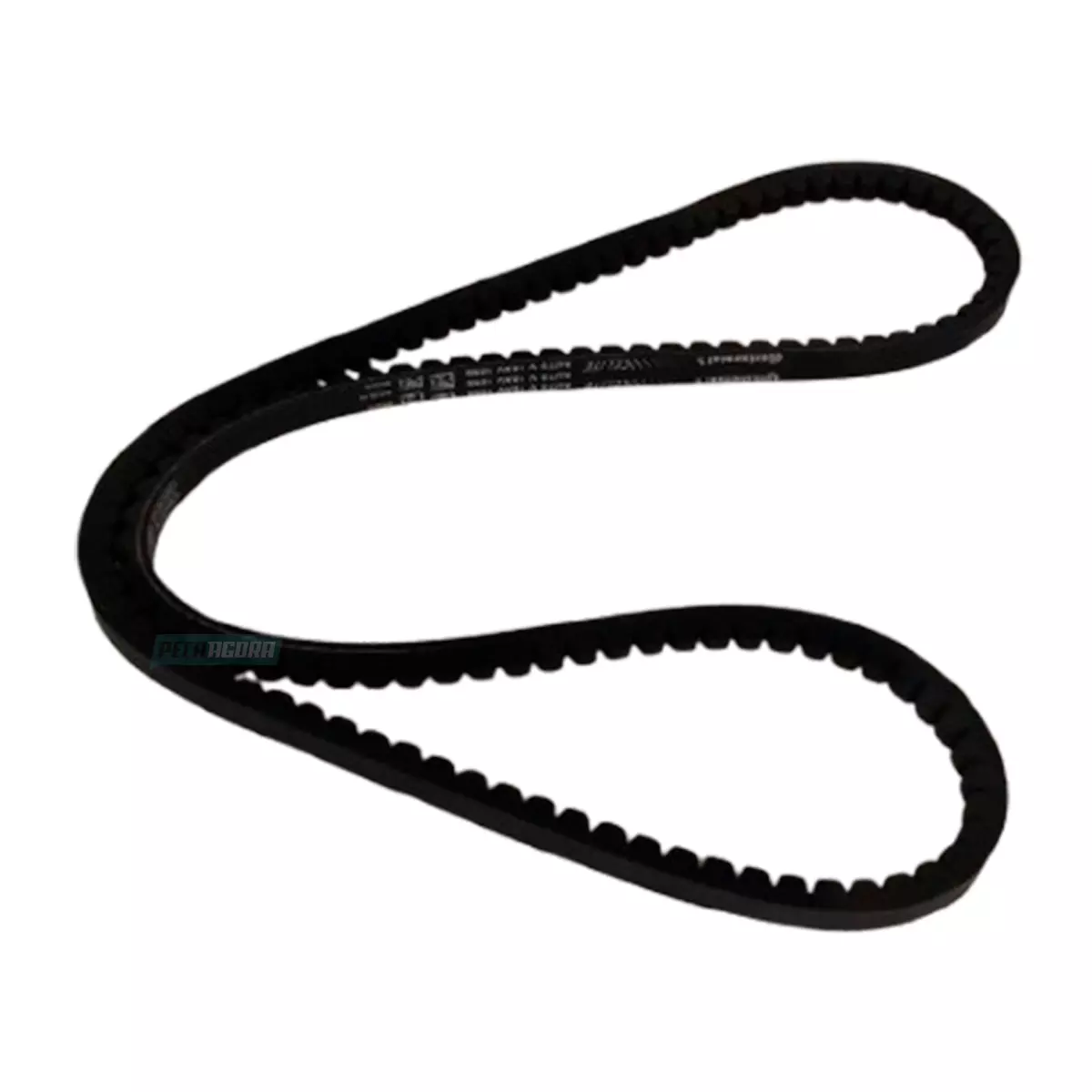 CORREIA SIMPLES 10X1055 IVECO DAILY 3510 4910 5912 4910 4912 (99462143.)