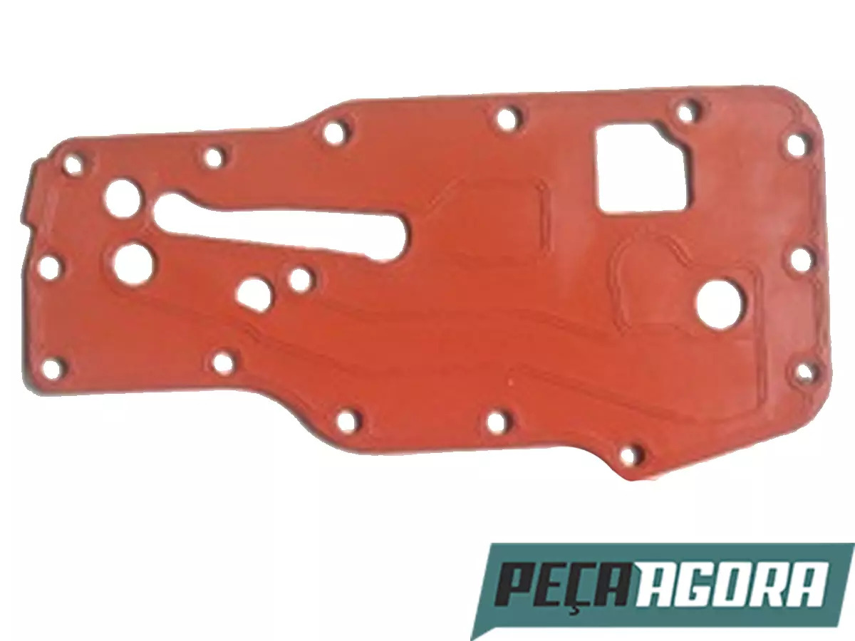 JUNTA DO RADIADOR DO OLEO DO MOTOR TECTOR VERTIS (4896409)