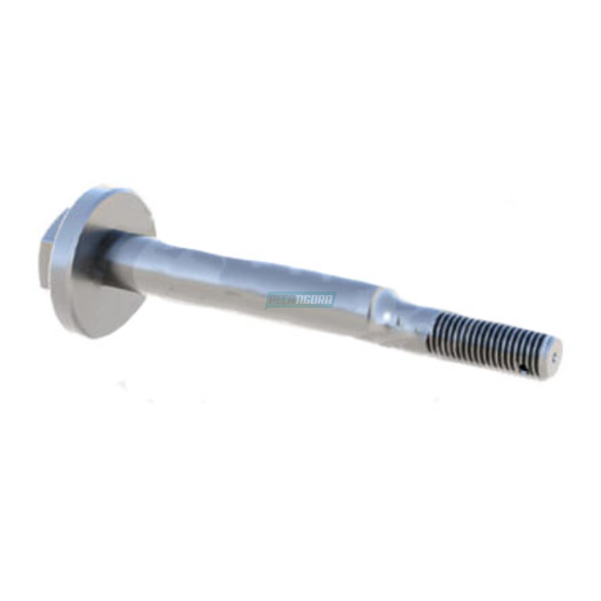 PINO EXCENTRICO SUSPENSAO AR CARRETAS FACCHINI (0368050201-CR2113)