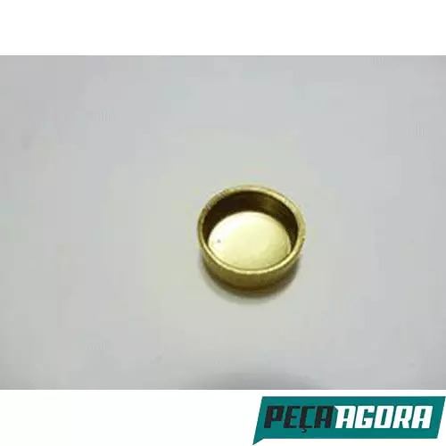 CAIXA 5  SELO CABECOTE MWM 22,5MM VOLKSWAGEN 790S 7110S 11130 12140T (CX.2RD1031