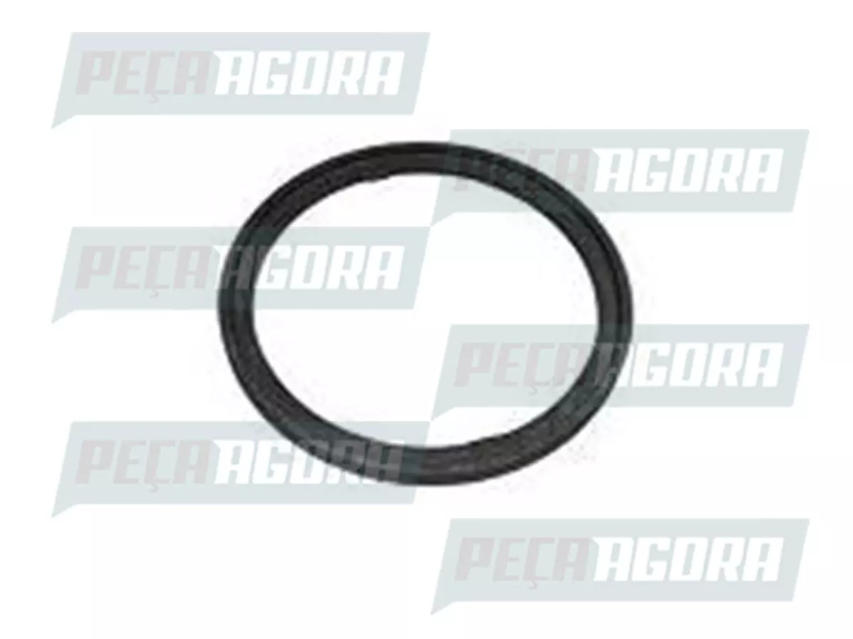 ANEL TRAVA ENGRENAGEM MOTRIS AUXILIAR RT CARGO E VW COM CAMBIO RT (2UU311227)